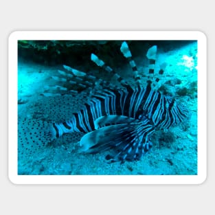 lionfish Sticker